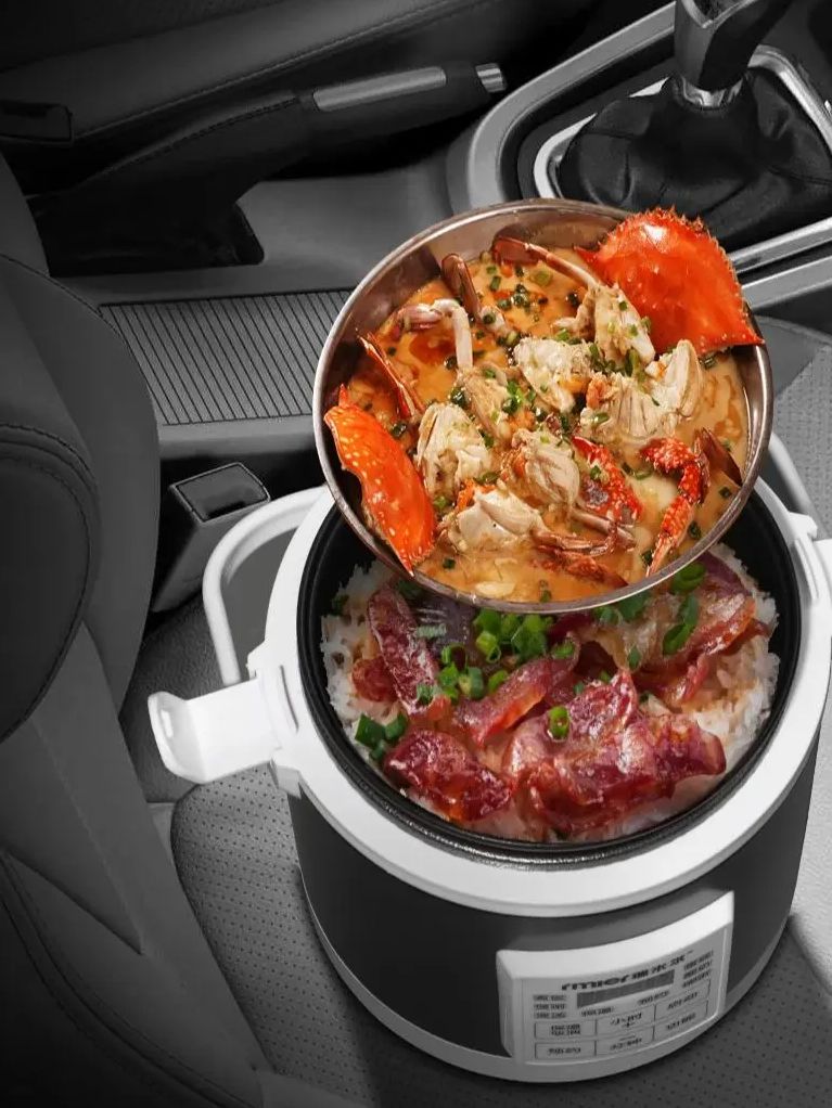 ARIER 12-24V 220V Rice Cooker  - đánh giá và giá Camping Cooking Cup
